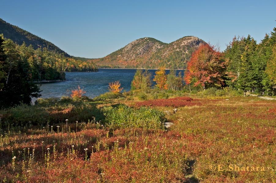 Acadia-2011-10