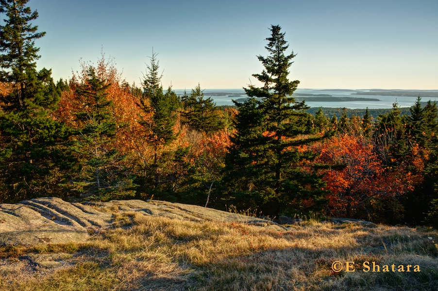 Acadia-2011-14