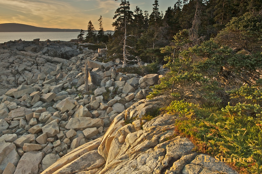 Acadia-2011-20