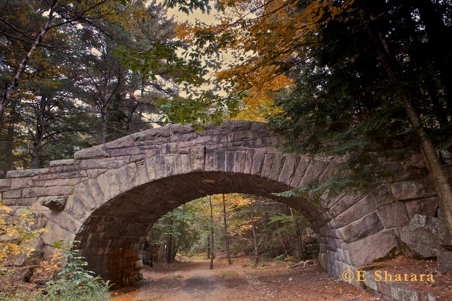 Acadia-2011-27