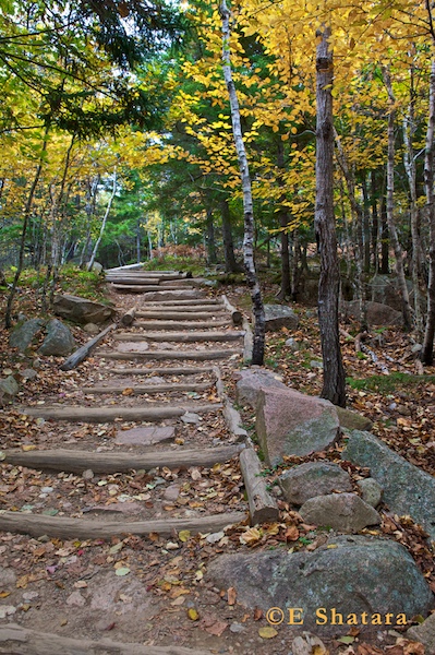 Acadia-2011-30