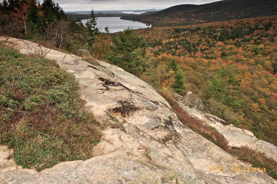 Acadia-2011-32