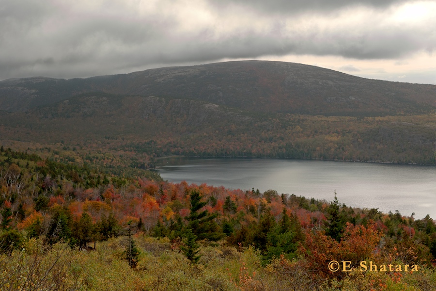 Acadia-2011-35