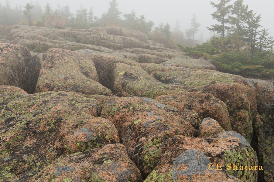 Acadia-2011-36