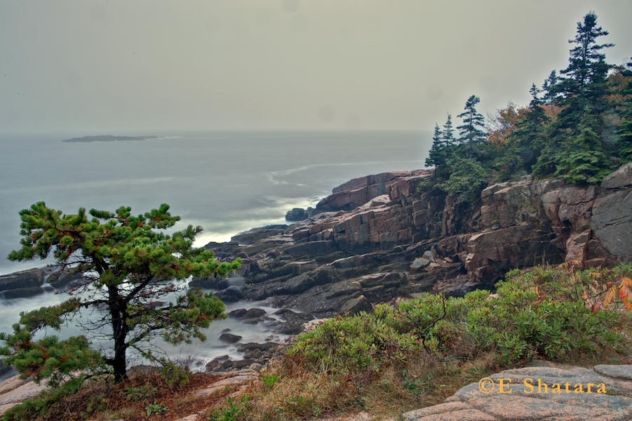 Acadia-2011-48