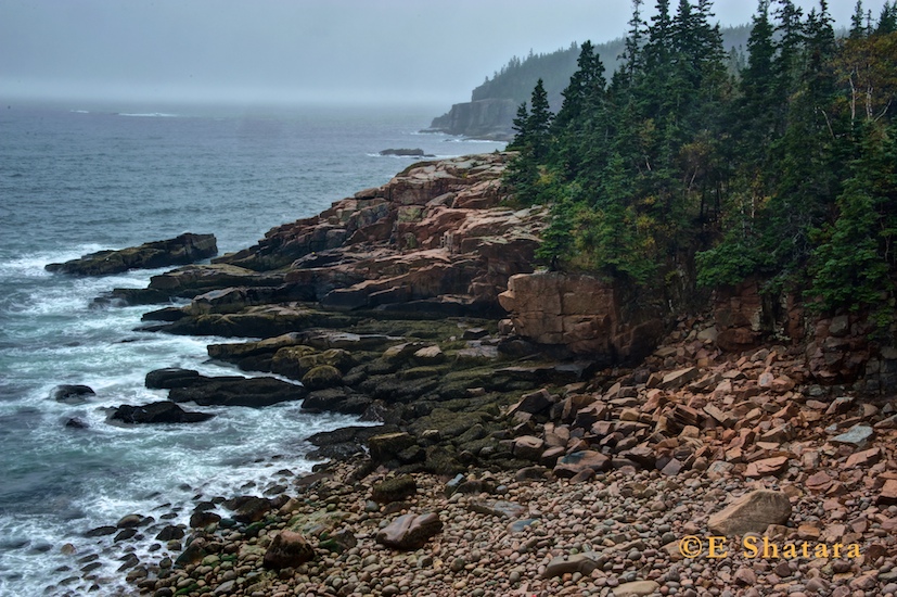 Acadia-2011-49