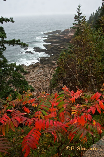 Acadia-2011-50