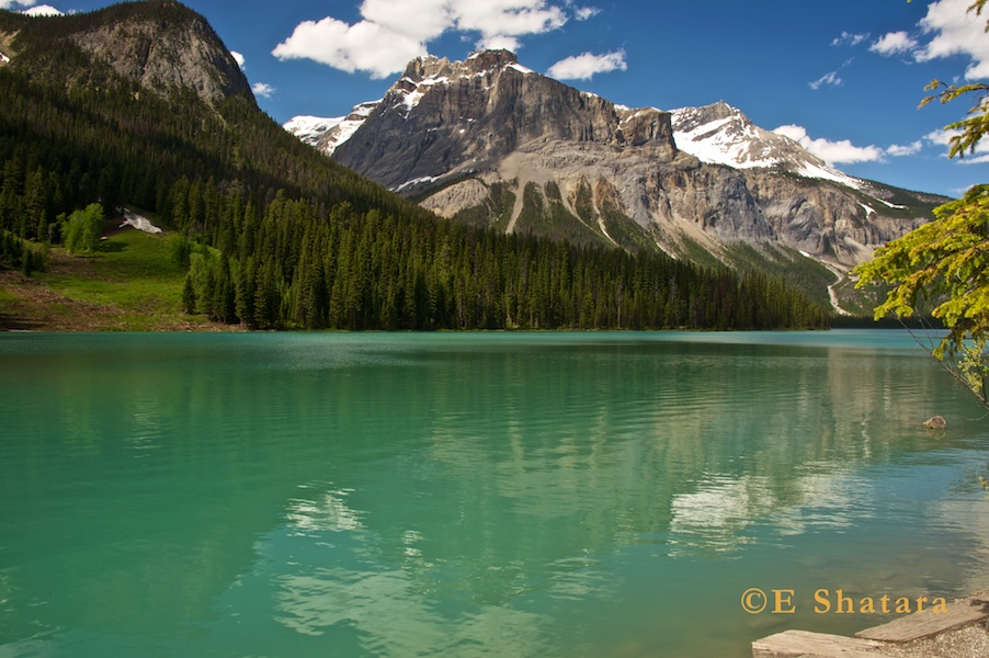 Canadian_Rockies_11