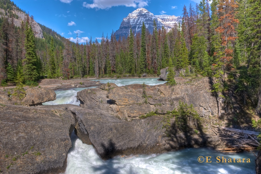 Canadian_Rockies_14