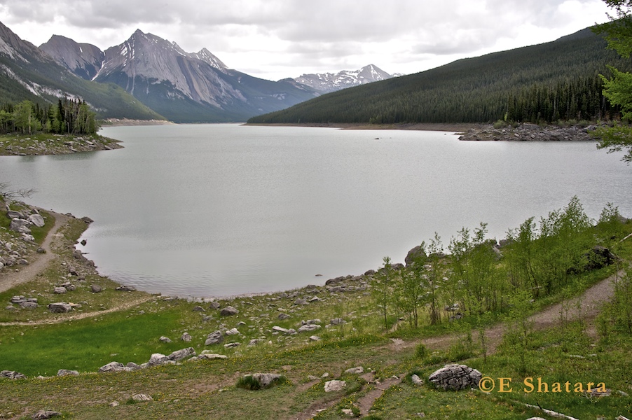 Canadian_Rockies_36