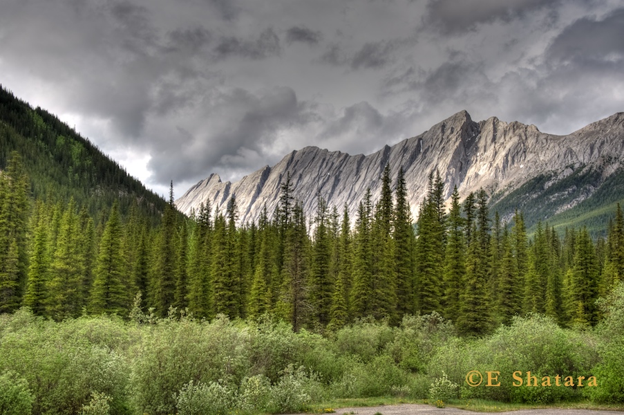 Canadian_Rockies_38