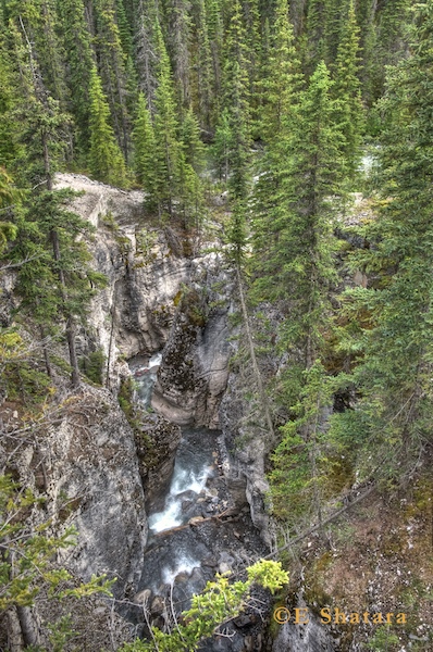 Canadian_Rockies_41