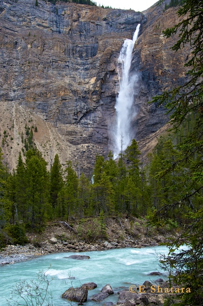 Canadian_Rockies_56