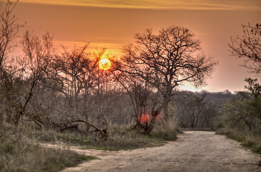 SabiSabi-26