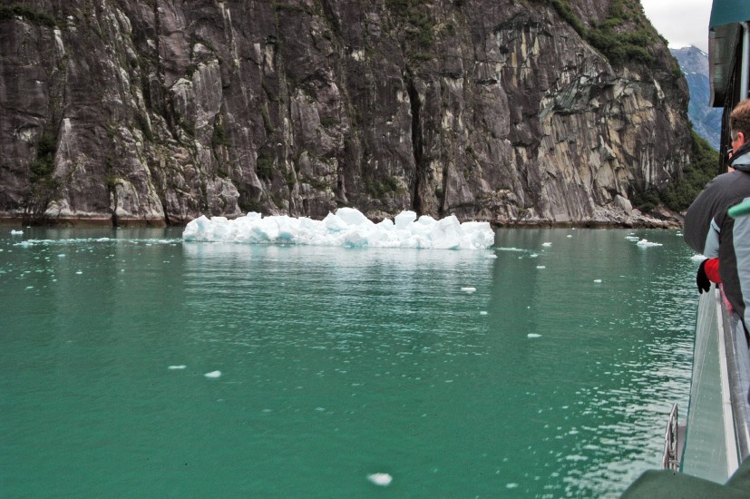 Tracy Arm - 03