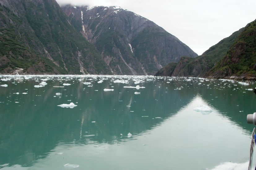 Tracy Arm - 06