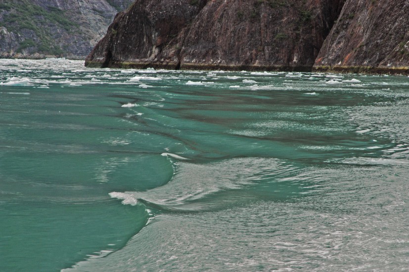 Tracy Arm - 18