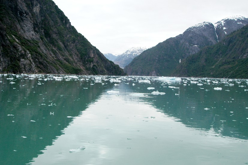 Tracy Arm - 19