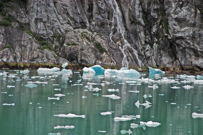 Tracy Arm - 20