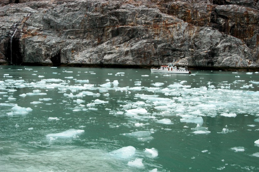 Tracy Arm - 28