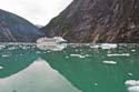 Tracy Arm - 05