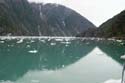 Tracy Arm - 06