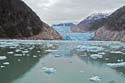 Tracy Arm - 15