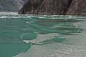 Tracy Arm - 18