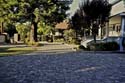 Driveway_21