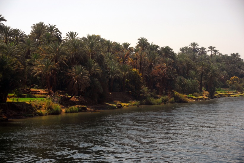 Nile_06