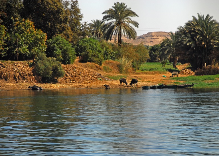 Nile_07