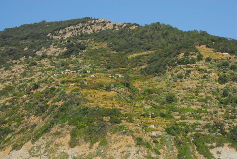 CinqueTerre_52