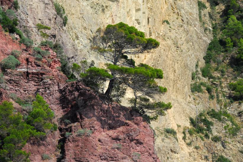 CinqueTerre_54