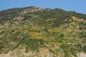 CinqueTerre_52