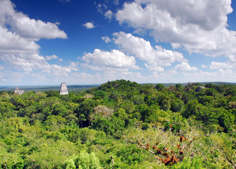 Tikal_46