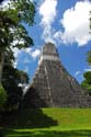 Tikal_22