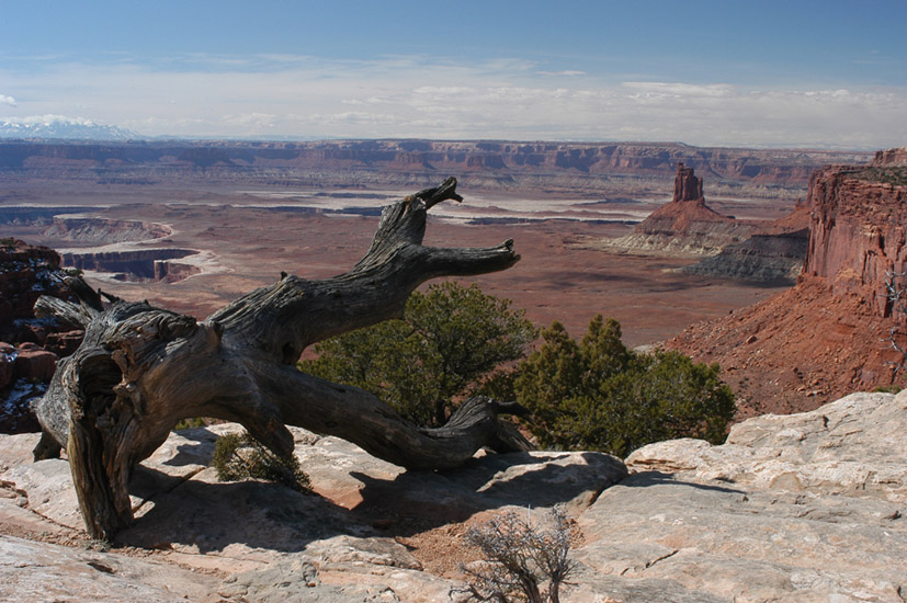 Canyonlands_10