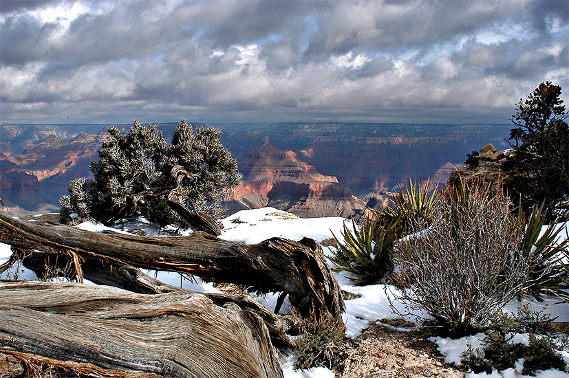 GrandCanyon_08