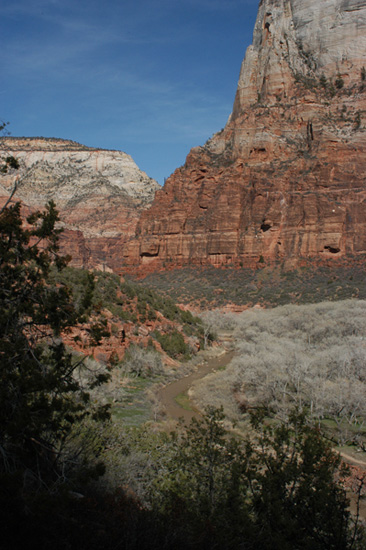 Zion_11