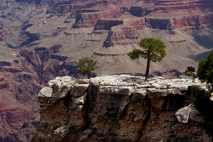 GrandCanyon_06_21