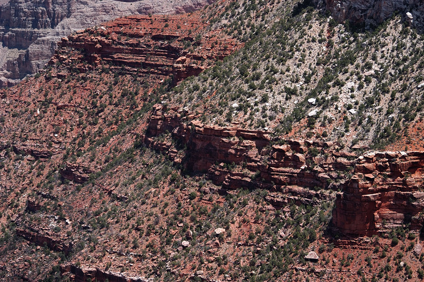 GrandCanyon_06_32