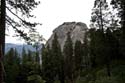 Sequoia_  09