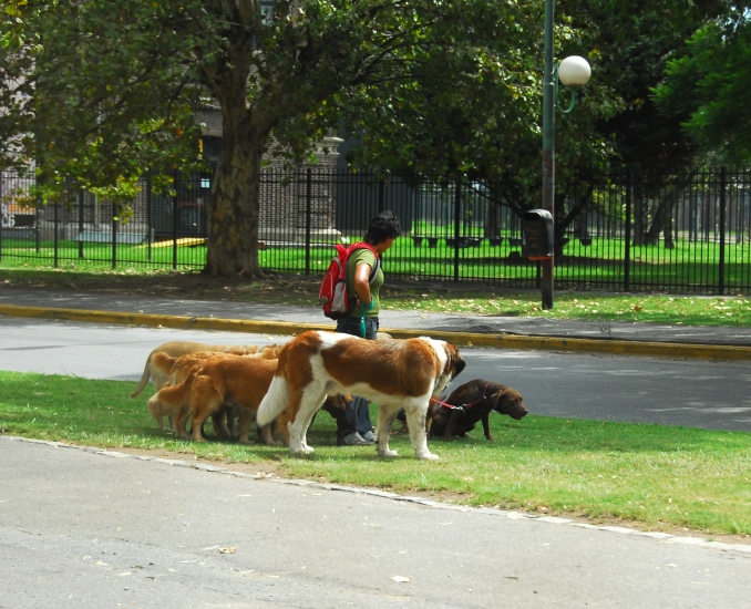 BuenosAires_24