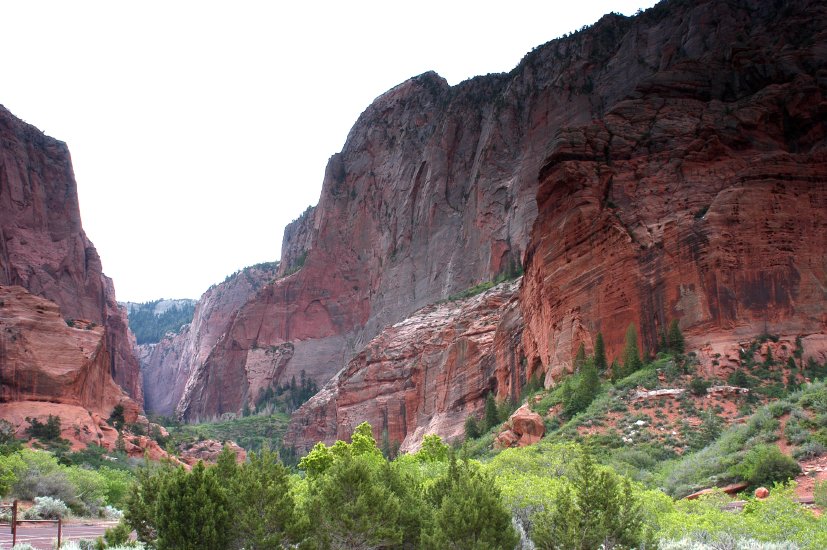 Zion_CC_1