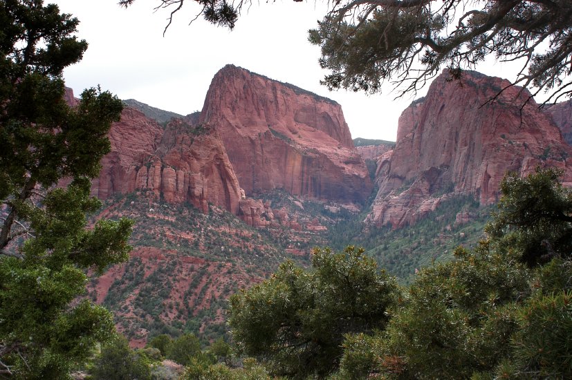 Zion_CC_3